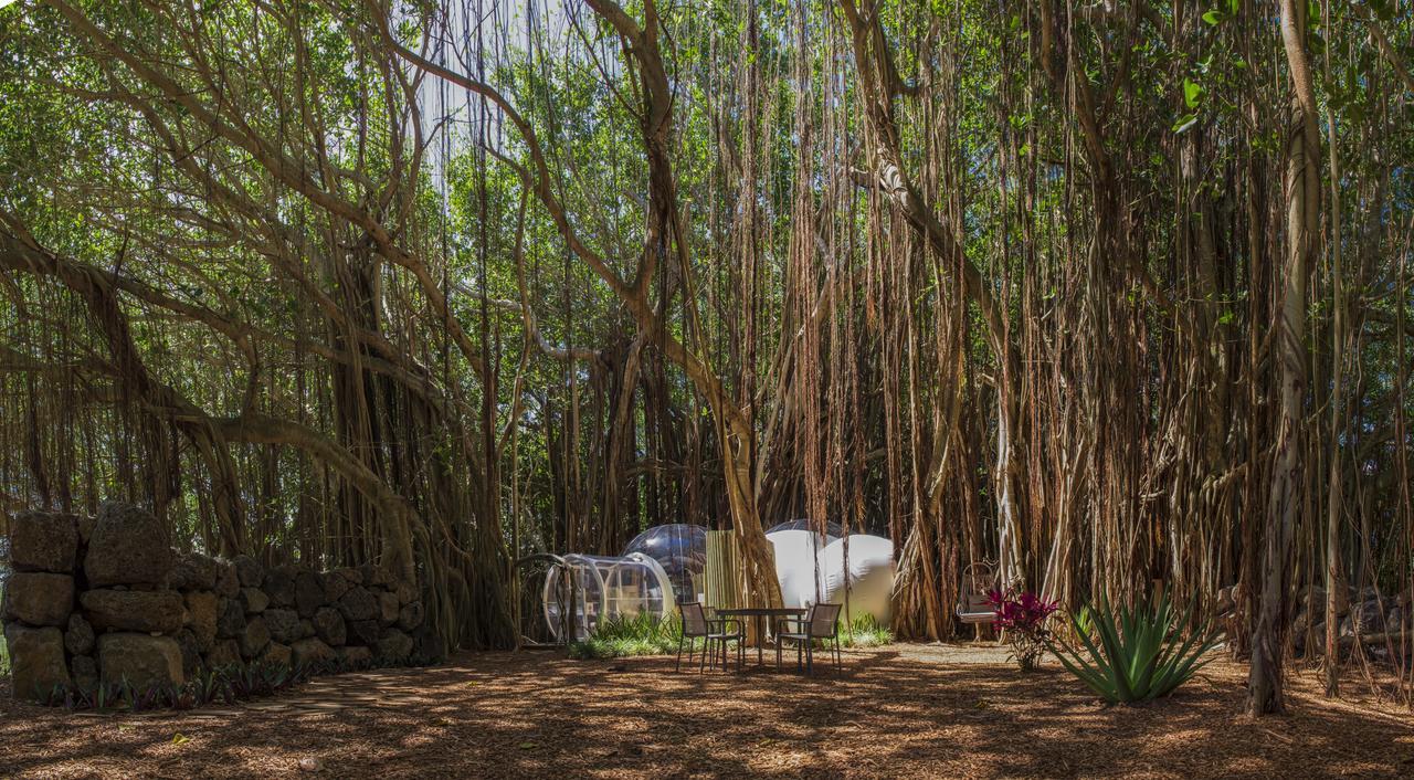 Bubble Lodge Ile Aux Cerfs Island Exterior foto