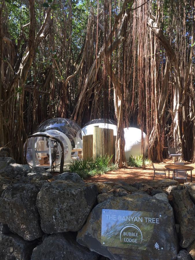 Bubble Lodge Ile Aux Cerfs Island Exterior foto