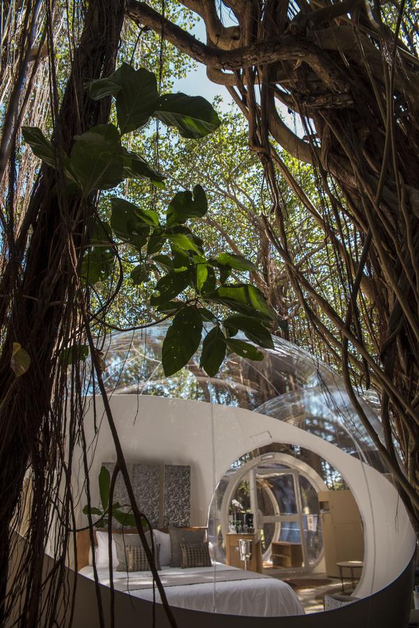 Bubble Lodge Ile Aux Cerfs Island Exterior foto